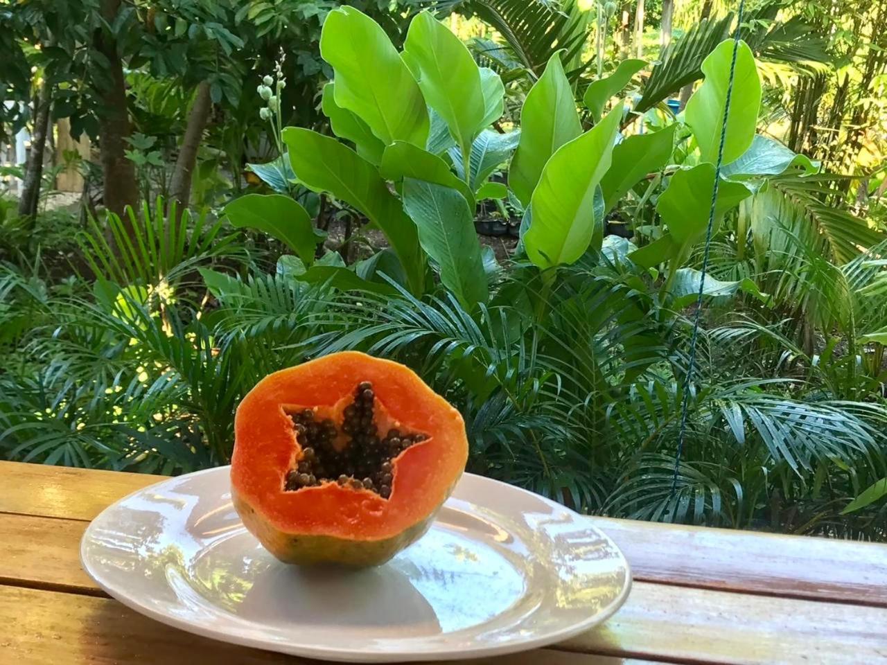 פנגלאו House @Bohol Garden Homes מראה חיצוני תמונה