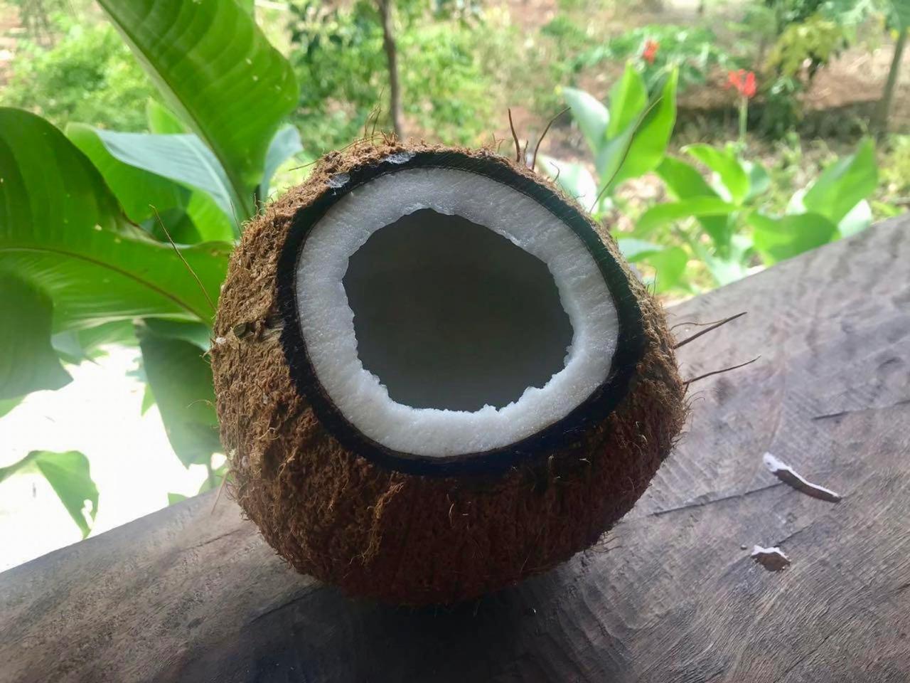 פנגלאו House @Bohol Garden Homes מראה חיצוני תמונה
