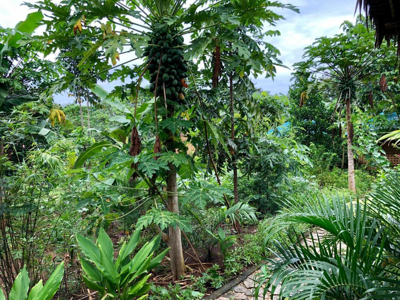 פנגלאו House @Bohol Garden Homes מראה חיצוני תמונה