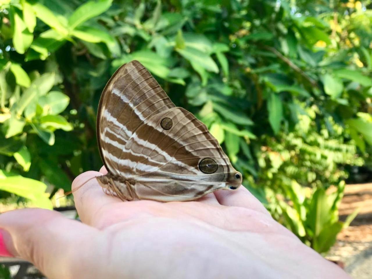 פנגלאו House @Bohol Garden Homes מראה חיצוני תמונה