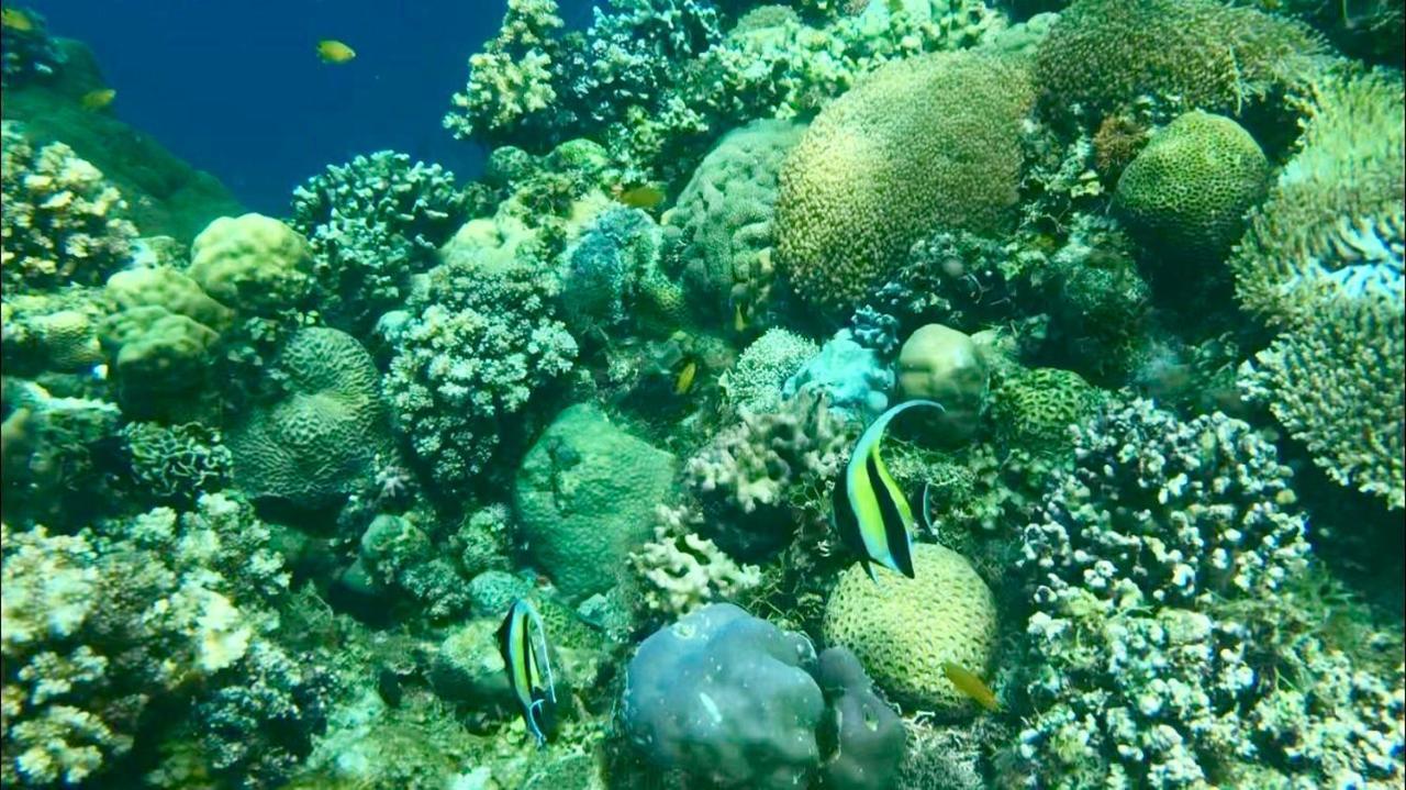פנגלאו House @Bohol Garden Homes מראה חיצוני תמונה