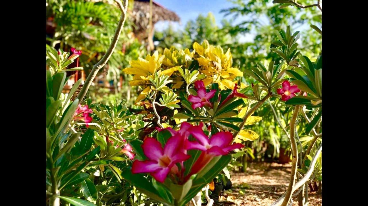 פנגלאו House @Bohol Garden Homes מראה חיצוני תמונה